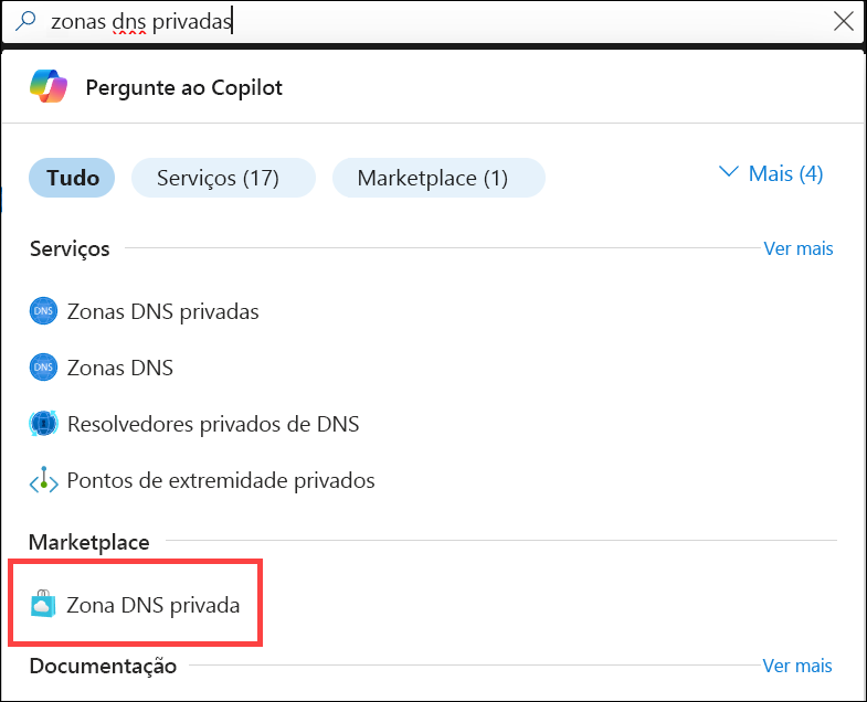 Captura de ecrã da pesquisa de zonas DNS privadas.